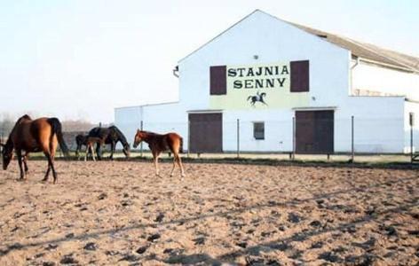 Przy Stajni Senny *